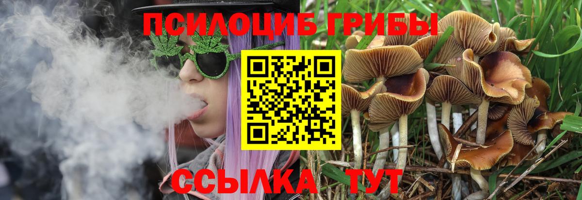 Псилоцибиновые грибы мухоморы  Вход с VPN  Курчалой 
